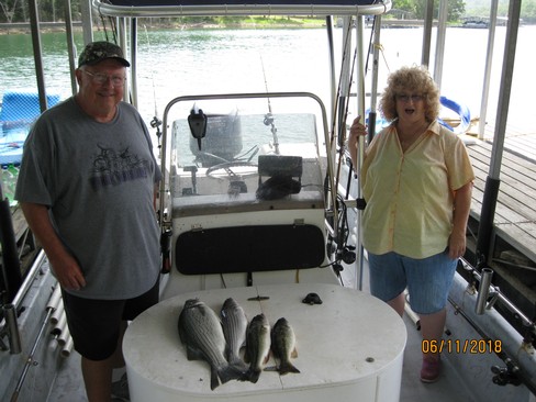 Nice Striped Bass